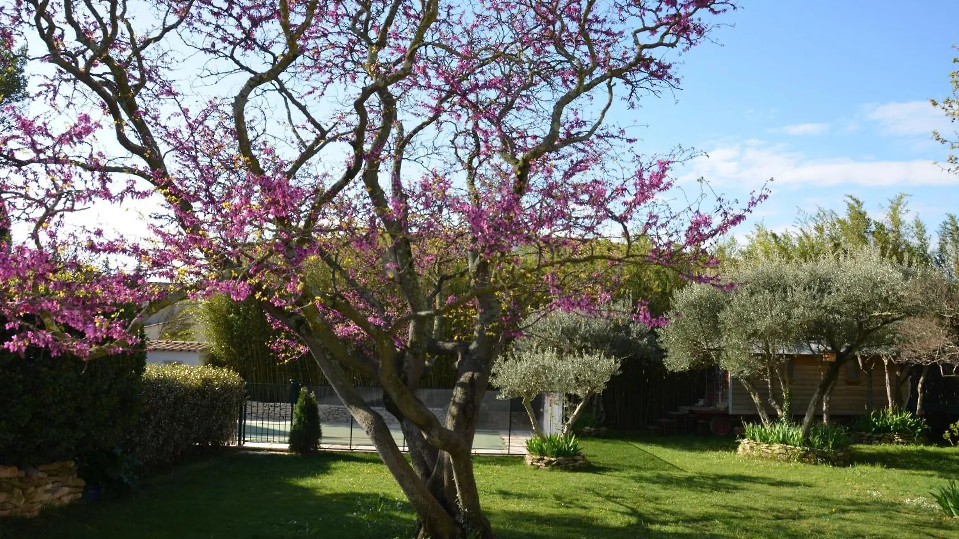 Les Treilles De Provence, Gite La Glycine Villeneuve-lès-Avignon 0*,  Frankrike